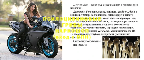 MESCALINE Белокуриха
