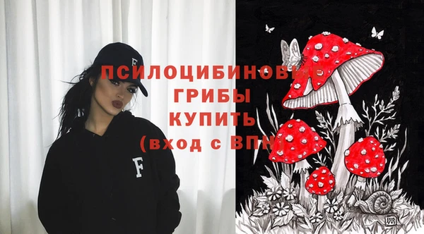 прущие крисы Беломорск